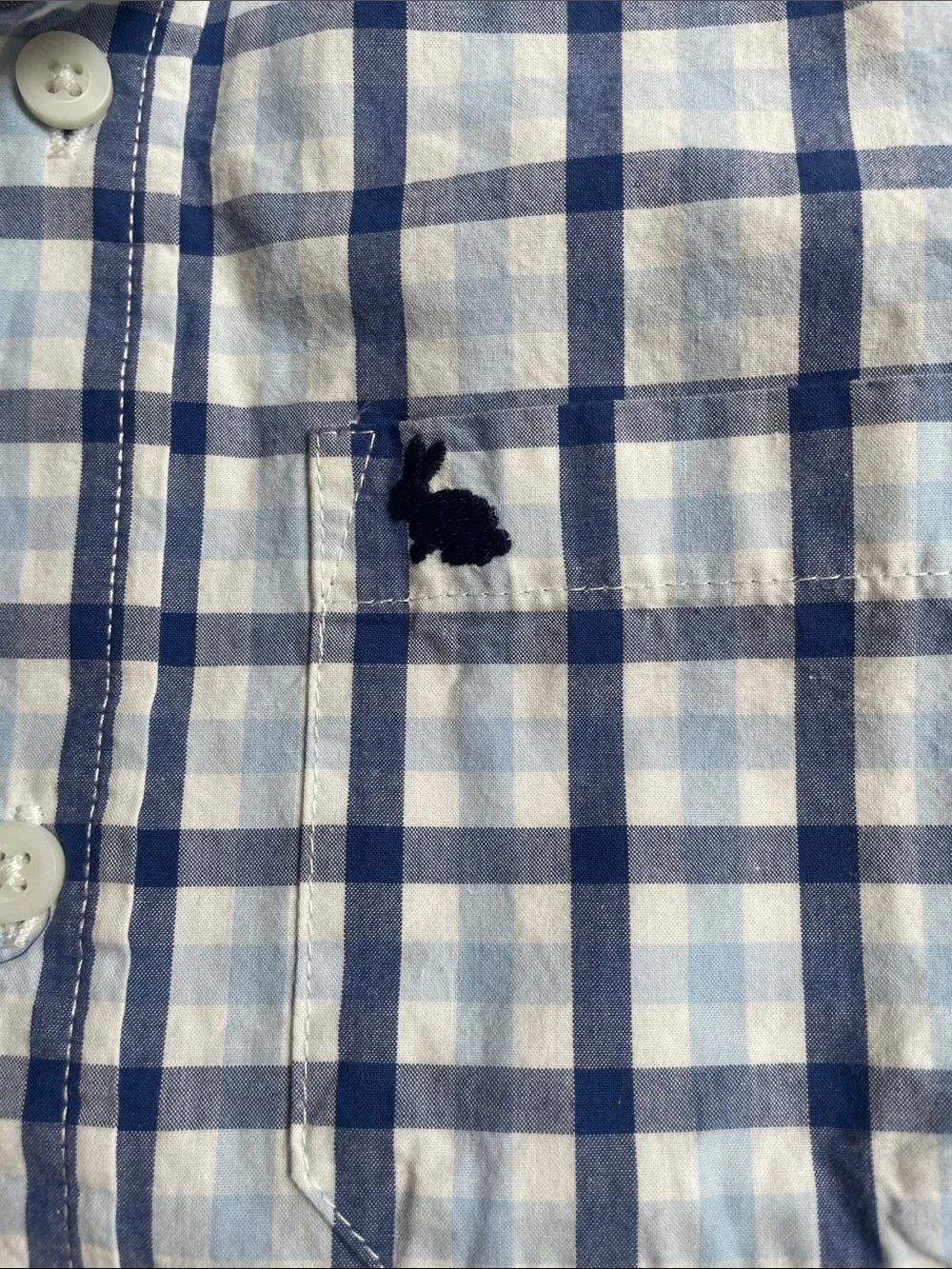 Gymboree White and Blue Plaid Button-Down Shirt